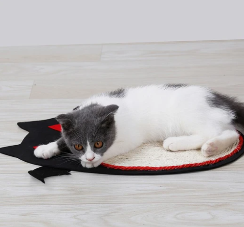 Placa Rascadora para Gatos - Image 3