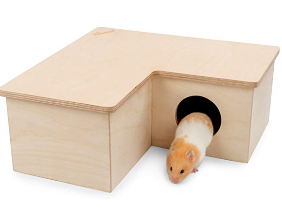 Casa Multiambiente para Hámster
