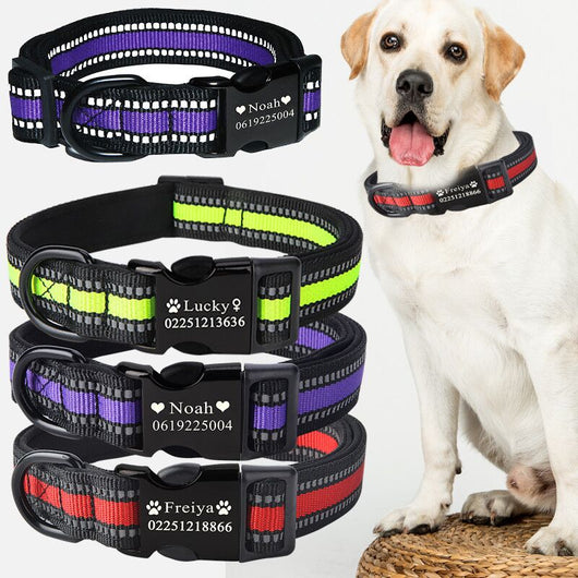 Collar Personalizado para Perros