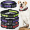 Collar Personalizado para Perros