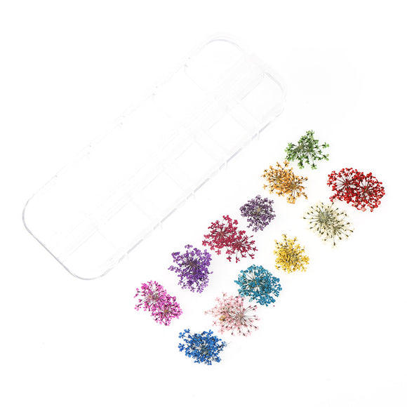 15ml UV Nail Extension Glue - Quick Dry Crystal Gel