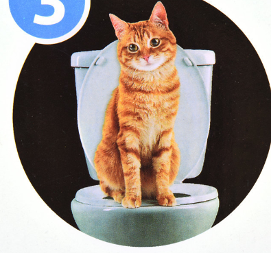 Entrenador de Baño para Gatos con Asiento Iluminado - Image 6