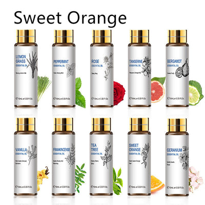 Aceites Esenciales Aromaterápicos 10ml - Lavanda, Rosa y Árbol de Té - Image 21