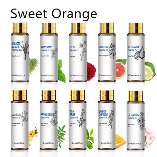 Aceites Esenciales Aromaterápicos 10ml - Lavanda, Rosa y Árbol de Té - Image 21