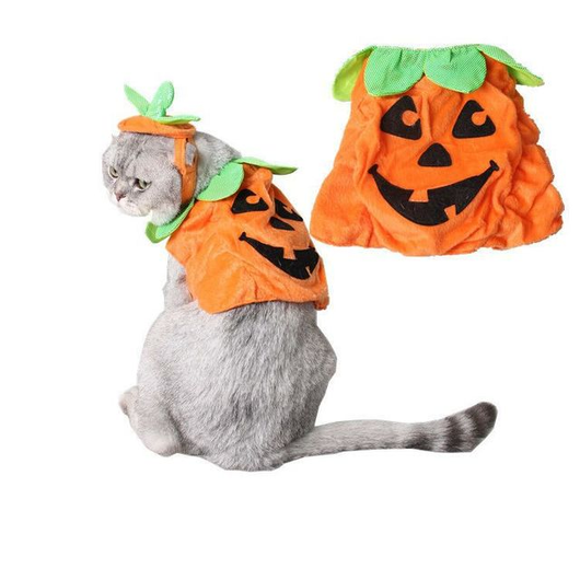 Disfraz de Gato Halloween con Decoración de Calabaza y Hojas Verdes - Image 8