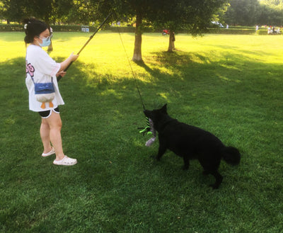 Black telescopic pet training rod with a black cord and two interchangeable braided fabric attachments in green/yellow and blue. - Image 32