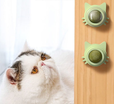 Light blue and light green catnip ball wall toys, shaped like cat faces, with clear domes containing catnip. - Image 12