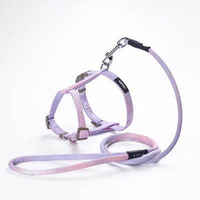 Cuerda Interactiva para Gatos con Degradado de Colores - Image 5