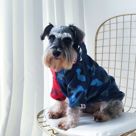 Suéter Abrigado para Perros Pequeños - Otoño Invierno - Image 5