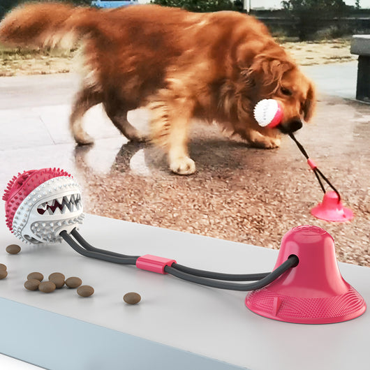 Pelota con Cordón Adhesivo - Image 6