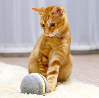 Pelota Saltarina Interactiva para Gatos - Image 3
