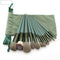 Green With Bag