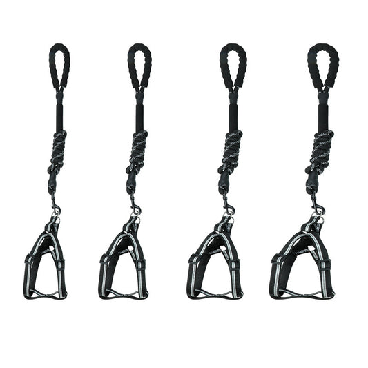 Correa Extensible Reflectante para Perros