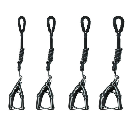 Correa Extensible Reflectante para Perros