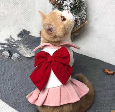 Ropa de Gato Viral para Primavera y Verano - Image 10