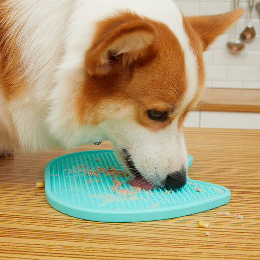 Comedero Doble Antivoracidad para Gatos y Perros con Lengüetas Estimulantes - Image 2