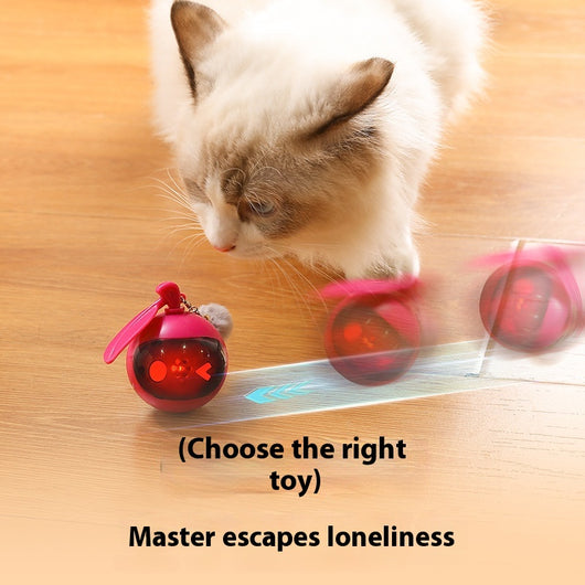 Rose red and black spherical cat toy with a grey pom-pom and suction cup base for self-play. - Image 3