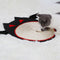 Rascador para Gatos de Sisal Natural