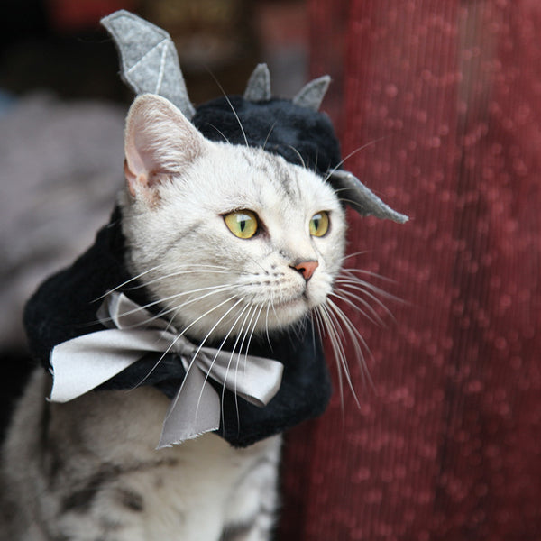 Capa con Capucha Murciélago Adorable para Halloween