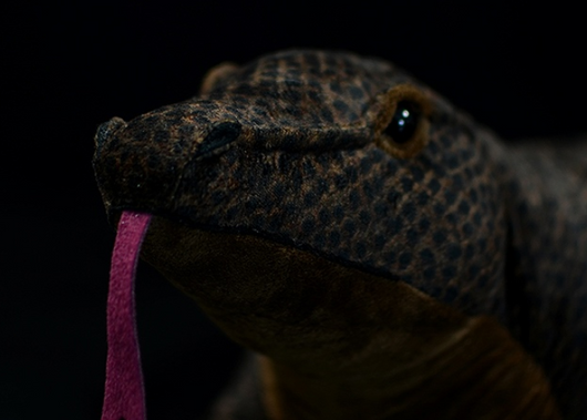 Peluche Dragón de Komodo Realista - Image 2