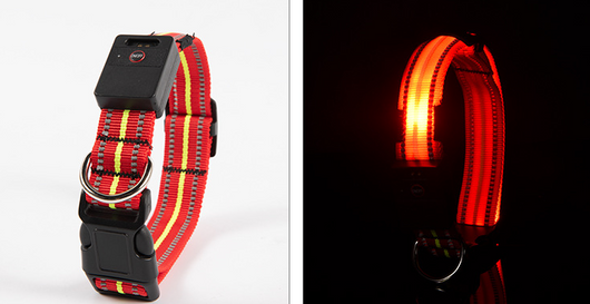 Collar Inteligente para Mascotas con Fibra Óptica, Impermeable y Carga Magnética - Image 14