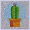 Con Marco De Cactus