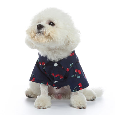 Ropa Casual para Perros con Estilo Frutal - Image 2