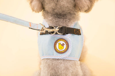 Arnés Chaleco Vaquero con Cuerda de Tracción para Perros - Image 16