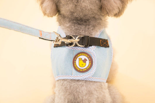 Arnés Chaleco Vaquero con Cuerda de Tracción para Perros - Image 16