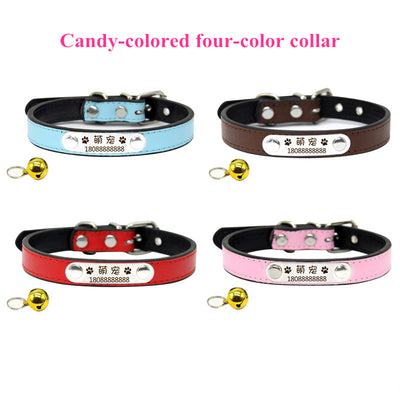 Collar Antipérdida Personalizado para Perros y Gatos