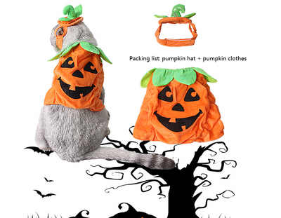 Disfraz de Gato Halloween con Decoración de Calabaza y Hojas Verdes - Image 12