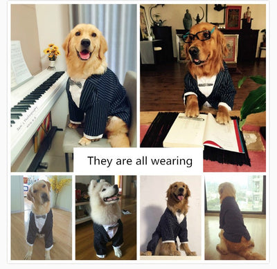 Traje para Perro con Pajarita a Rayas - Image 3