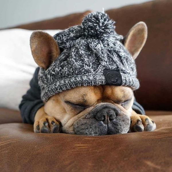 Gorro Tejido Polar para Perros con Pompón - Protección Térmica Resistente al Viento