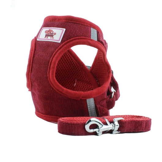Arnés de Pecho con Cadena para Perro - Image 2