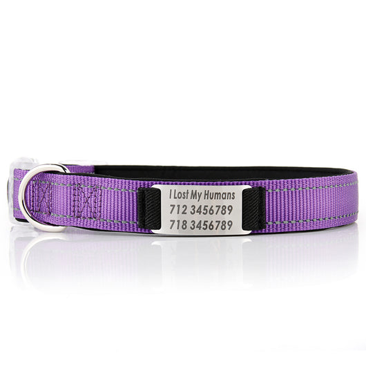 Collar de Perro Personalizado de Nylon - Image 12