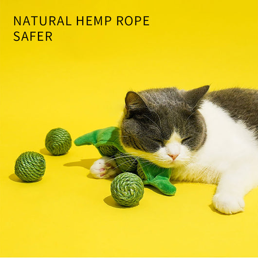 Set de 3 Pelotas Interactivas para Gatos con Cuerda de Sisal y Sonido Crujiente - Image 3