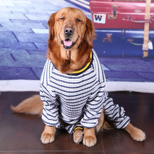 Ropa para Perros Medianos y Grandes - Abrigos Cómodos y Modernos