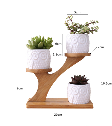 Árbol de Búho de Madera - Image 6