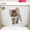Gato 2