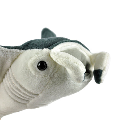 Peluche Pez Demonio - Juguete Suave y Adorable - Image 5