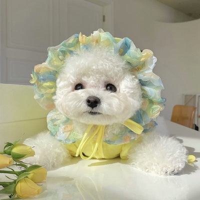 Falda de Malla para Bichón Frisé - Diseño Teddy - Image 12