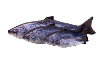 Two plush fish cat toys, one large and one small, with realistic green and brown scale patterns. - Image 12