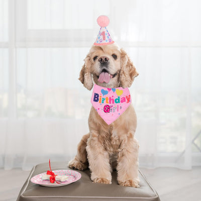 Sombrero de Cumpleaños para Perros con Números y Bandana - Image 4