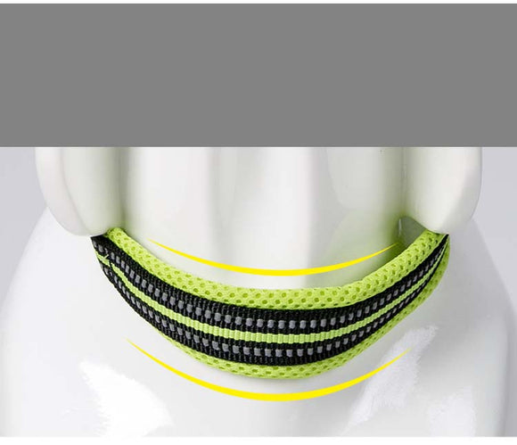 Collar para Perro de Nylon Reflectante Ajustable