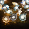 Conch 1 M 10 Lights