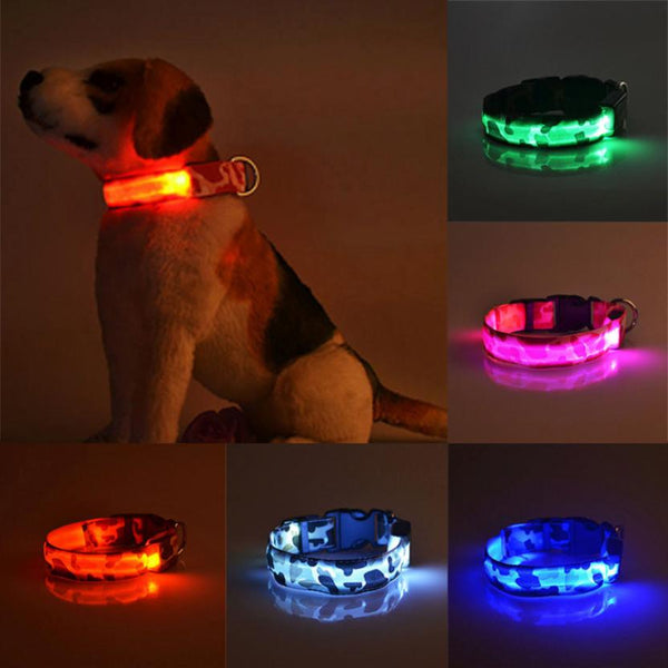 Collar Luminoso Camuflaje para Perros - Seguridad Nocturna