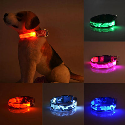 Collar Luminoso Camuflaje para Perros - Seguridad Nocturna