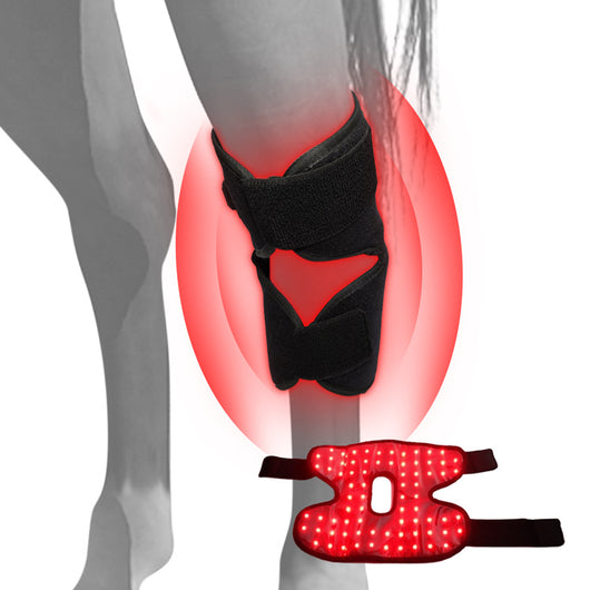 Dispositivo Portátil de Fototerapia para Recuperación de Espalda y Rodillas en Caballos - Image 3