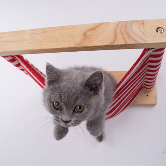 Hamaca de Pared para Gatos - Image 3