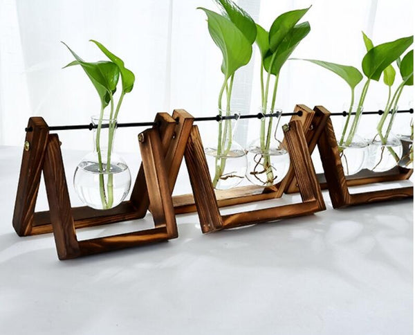 Maceta de Cristal para Plantas